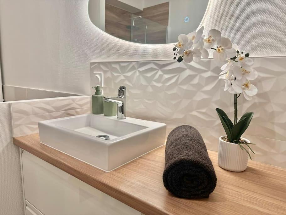 L'Orchidee - Netflix - Wi-Fi - Proche Centre Apartman Troyes Kültér fotó