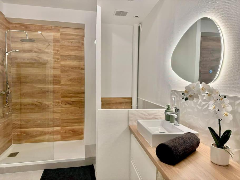 L'Orchidee - Netflix - Wi-Fi - Proche Centre Apartman Troyes Kültér fotó